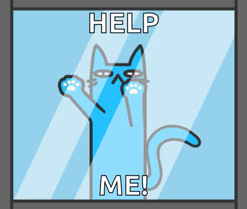 CatCrazyBlueCatGIF.gif