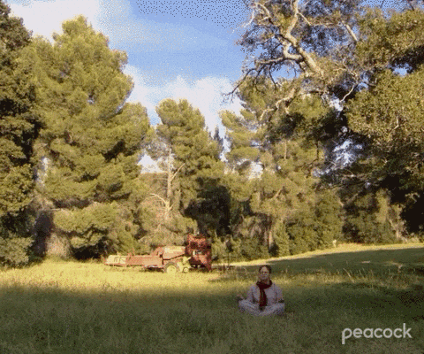 giphy (2).gif